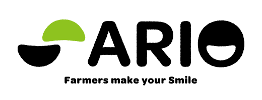 株式会社ARIO