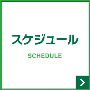 スケジュール