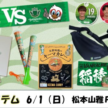 【80着限定】2025八戸三社大祭山車ユニフォーム　「ファン