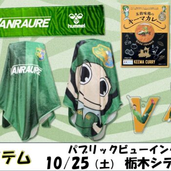 【 10/25(土)栃木シティ戦 】パブリックビューイング